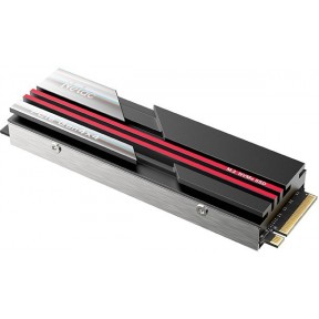 Твердотельный накопитель SSD 1Tb Netac NV7000 (NT01NV7000-1T0-E4X)