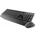 Беспроводной набор клавиатура+мышь Logitech Wireless Combo MK345 920-008534